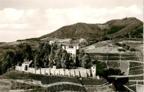 AK / Ansichtskarte Ortenberg Baden Jugendherberge Schloss-Ortenberg Schwarzwald Weinberge Baeume Stadtmauer Berge
