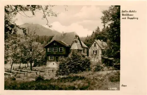 AK / Ansichtskarte Zella-Mehlis Thueringen Waldhaus Ruppberg Holzhaus Berghaus Wald Baeume Gartenbank