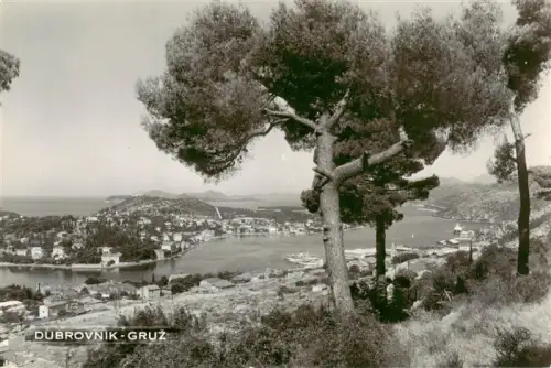 AK / Ansichtskarte DUBROVNIK Ragusa Croatia Gruz Hafen Bucht Panorama Pinienbaeume Adria Boote Huegellandschaft