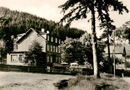 AK / Ansichtskarte Manebach Ilmenau Thueringen Moosbach Erholungsort Pension Wald Tannen Zaun