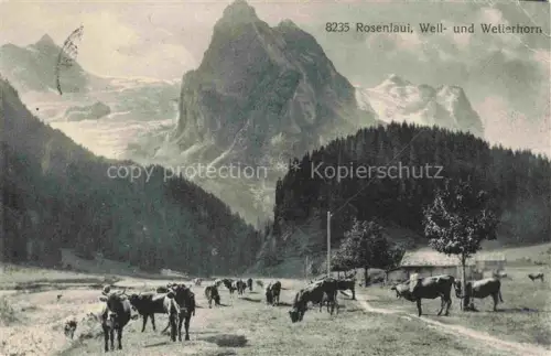 AK / Ansichtskarte Rosenlaui Oberhasli BE Rosenlaui Wellhorn Wetterhorn Kuehe Alp Bergtal Wald Gletscher