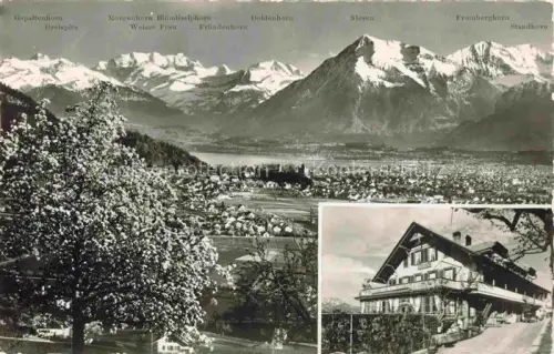 AK / Ansichtskarte Hartlisberg Steffisburg BE Pension-Bellevue Panorama Thunersee Alpen Bluetenbaum Gaspaltenhorn Niesen Fromberghorn