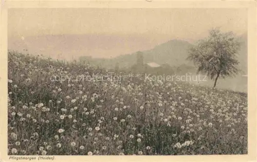 AK / Ansichtskarte Heiden Appenzell AR Pfingstmorgen Loewenzahnwiese Pusteblumen Kirche Nebel Baum Stimmungsbild