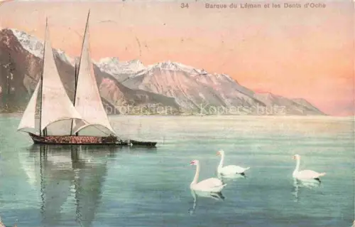 AK / Ansichtskarte Lac Leman Genfersee GE Barque-du-Léman Dents-d Oche Genfersee Segelboot Schwaene Bergpanorama Abendstimmung