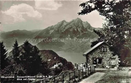 AK / Ansichtskarte Hammetschwand Buergenstock NW Hammetschwand Pilatus Vierwaldstaettersee Steinhuette Bergpanorama Wald