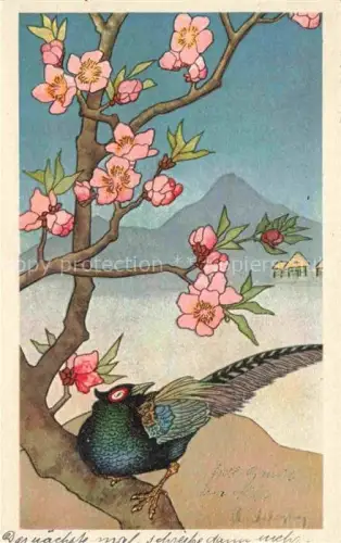 AK / Ansichtskarte Japan Fasan Kirschblueten Berg Pfahlbauten Vogel Japanisch-Motiv