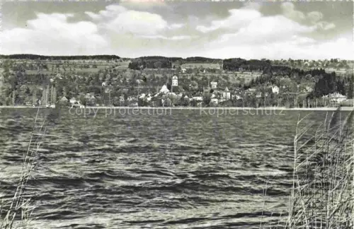 AK / Ansichtskarte Sempach LU Sempachersee See Dorf Kirche Schilfrohr Wald Huegel