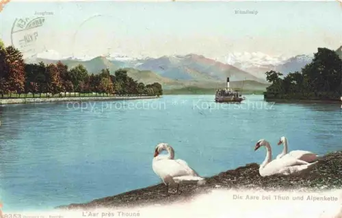 AK / Ansichtskarte THUN Thoune BE Aare Schwaene Dampfschiff Jungfrau Bluemlisalp Alpenkette Fluss Allee