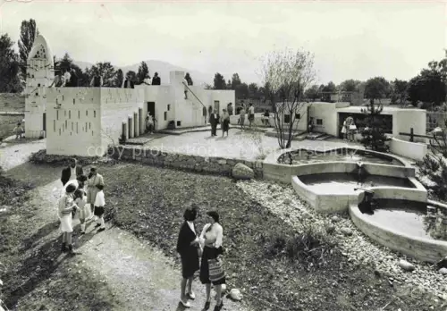 AK / Ansichtskarte Rapperswil -Jona Rapperswyl Zuerichsee SG Knie-Kinderzoo Afrikanische-Kaspa Taubenturm Goldfischteich Zoo Besucher Brunnen