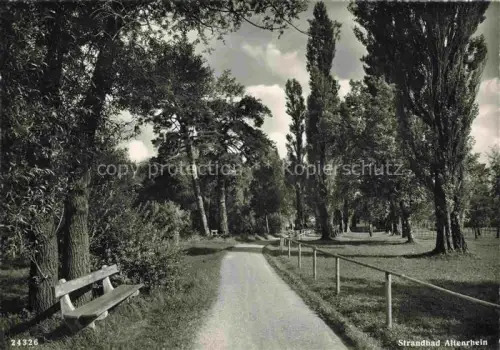 AK / Ansichtskarte Altenrhein SG Strandbad Allee Pappeln Bank Weg Park Rhein