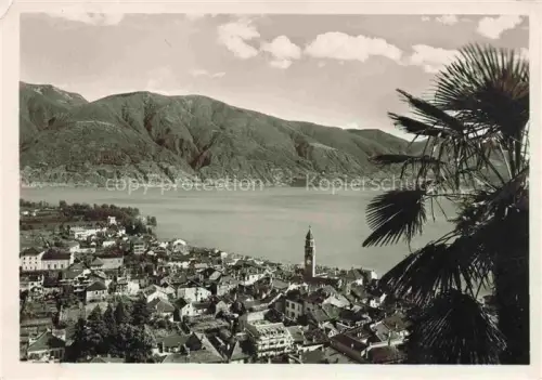 AK / Ansichtskarte Ascona Lago Maggiore TI Lago-Maggiore Kirchturm Ortschaft Palme Berge Seeufer Daecher Panorama
