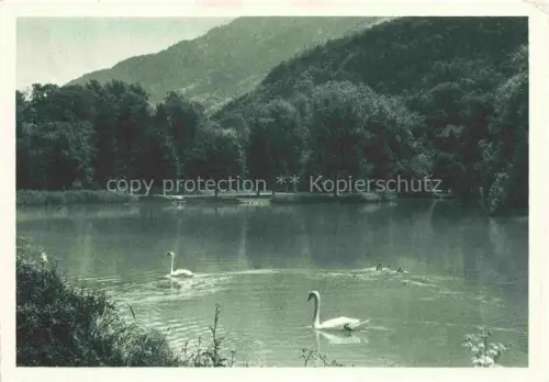 AK / Ansichtskarte Bad Ragaz Ragatz SG Giessenparksee Schwaene See Wald Berge Baeume Natur
