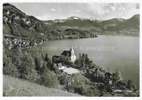 AK / Ansichtskarte Vitznau Witznau Vierwaldstaettersee LU Vierwaldstaettersee Parkhotel Nidwaldner-Alpen See Berge Wald Hotel