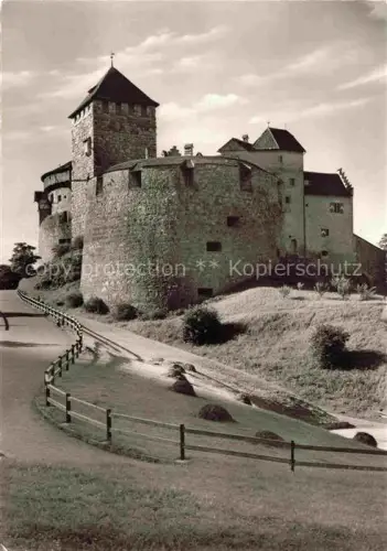 AK / Ansichtskarte Vaduz Liechtenstein FL Schloss-Vaduz Burg Turm Burgmauer Weg Zaun Wiese