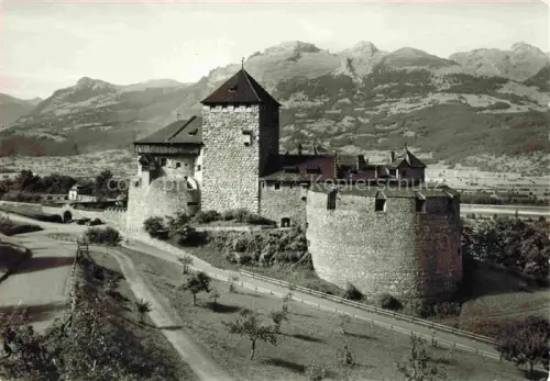 AK / Ansichtskarte Vaduz Liechtenstein FL Schloss-Vaduz Burg Tuerme Burgmauer Schweizer-Berge Alpen Weg Baeume