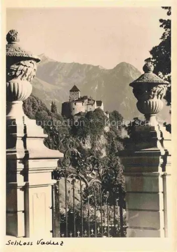 AK / Ansichtskarte Vaduz Liechtenstein FL Schloss-Vaduz Burg Schmiedeeisernes-Tor Vasen Berge Alpen Baeume