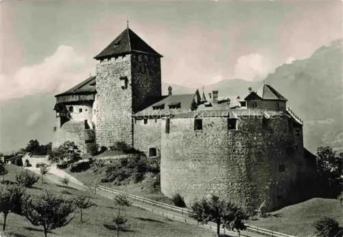 AK / Ansichtskarte Vaduz Liechtenstein FL Schloss-Vaduz Bergfried Burgmauer Bergwiese Baeume
