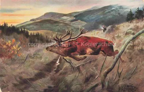 AK / Ansichtskarte FROMME Ludwig H. Kuenstlerkarte Der Hirsche wird angeschossen Oilette Raphael Tuck Nr. 535