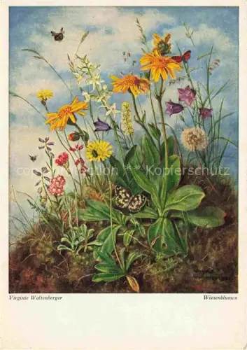 AK / Ansichtskarte WALTENBERGER Virginie Kuenstlerkarte Wiesenblumen 