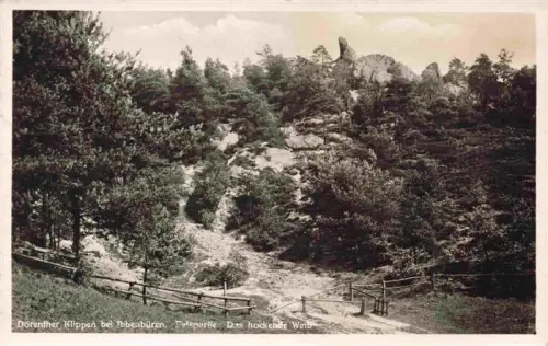 AK / Ansichtskarte Ibbenbueren NRW Doerenther-Klippen Felspartie Das-hockende-Weib Felsen Kiefernwald Zaun