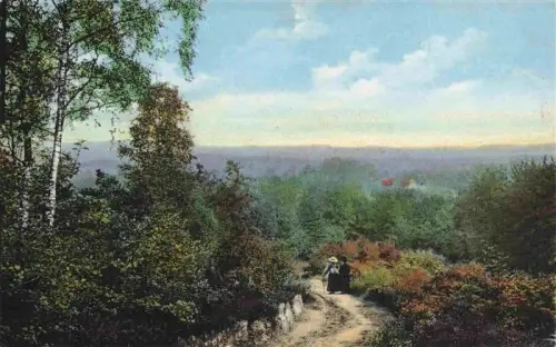 AK / Ansichtskarte Bocketal Brochterbeck Teutoburger Wald Bocketal Teutoburger-Wald Weg Birke Heidelandschaft Frau Panorama