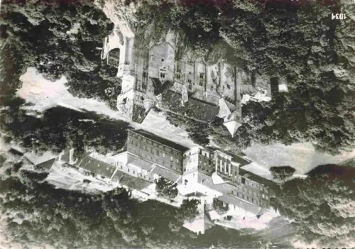 AK / Ansichtskarte Burg Liechtenstein Maria Enzersdorf Niederoesterreich AT Burg-Liechtenstein Maria-Enzersdorf Luftbild Burganlage Wald Neugotik