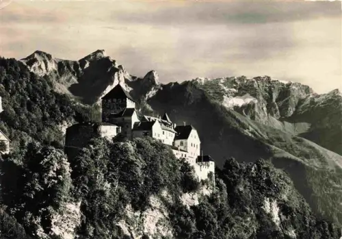 AK / Ansichtskarte Vaduz Liechtenstein FL Schloss-Vaduz Falknis Alpen Fels Bergwald Fuerstentum