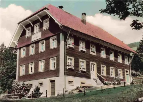 AK / Ansichtskarte Todtnauberg Schwarzwald BW Pension-Alpenblick Schwarzwald Holzhaus Blumenfenster Wald Wiese
