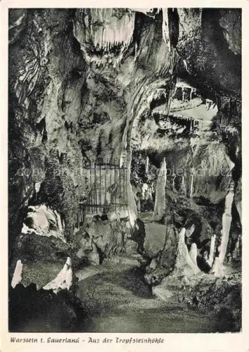 AK / Ansichtskarte Warstein Sauerland NRW Tropfsteinhoehle Stalaktiten Stalagmiten Hoehle Waldhotel-Tropfsteinhoehle Sauerland Tropfsteine Gitter