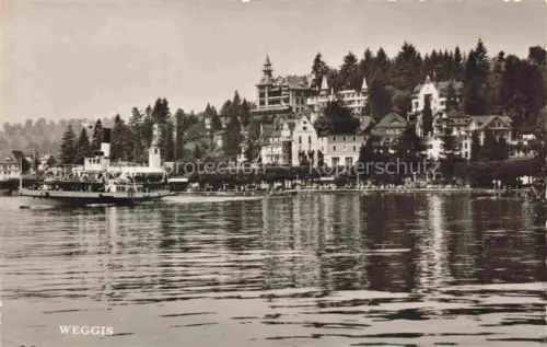 AK / Ansichtskarte Weggis Vierwaldstaettersee LU Vierwaldstaettersee Dampfschiff Villen Hoteln Ufer Wald