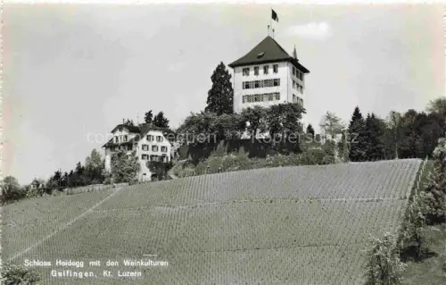 AK / Ansichtskarte Gelfingen Hochdorf LU Schloss-Heidegg Weinreben Hotel-Sternen Turm Huegel