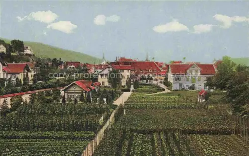 AK / Ansichtskarte Sarnen Obwalden OW Frauenkloster Stadtansicht Weinberg Felder Wohnhaeuser Huegel