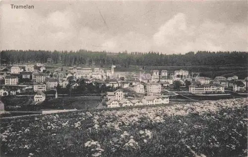 AK / Ansichtskarte Tramelan Courtelary BE Stadtansicht Daecher Kirchturm Wald Wiesen Felder