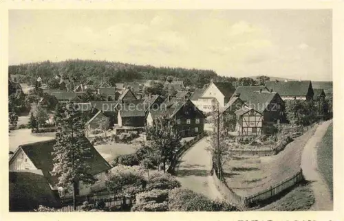AK / Ansichtskarte Buntenbock Oberharz Goslar Niedersachsen Oberharz Dorfansicht Fachwerk Wald Hauser Felder Vogelblick