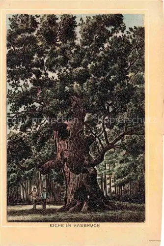 AK / Ansichtskarte Hasbruch Hude Oldenburg Niedersachsen Eiche Hasbruch Naturdenkmal Lithographie Wald Baum Personen