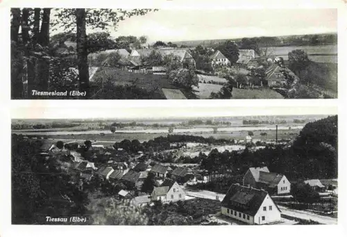 AK / Ansichtskarte Tiessau Elbe Hitzacker Niedersachsen Tiesmesland Elbe Dorf Ortsansicht Haeuser Wiesen Elbaue