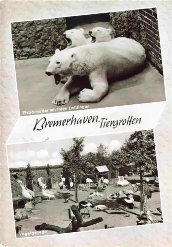 AK / Ansichtskarte Zoo Gardin Zoologique-- Bremerhaven Tiergarten Eisbaer Mutter Vogelgehege  