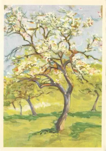 AK / Ansichtskarte STueCKELBERG Marie Basel Kuenstlerkarte Schweiz Bluetenbaum Arbre en fleurs Albero in fiore 