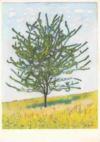 AK / Ansichtskarte HODLER Ferdinand (1853-1918) Kuenstlerkarte Das Kirschbaeumchen Piccolo ciliegio
