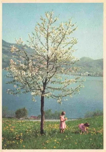 AK / Ansichtskarte SCHELLENBERG H. Kuenstlerkarte Zuerich Am Lowerzersee 