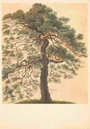 AK / Ansichtskarte KELLER Gottfried Zuerich (1819-1890) Schriftsteller Maler Schweiz Foehre
