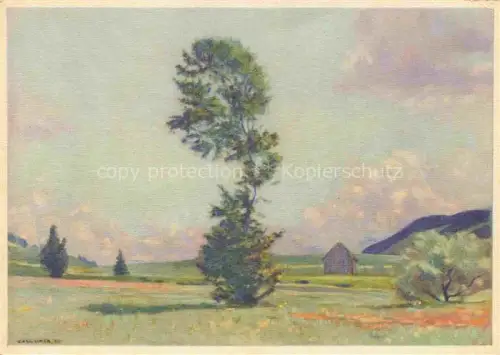 AK / Ansichtskarte LINER Carl Kuenstlerkarte Schweiz Eggerstander Moos