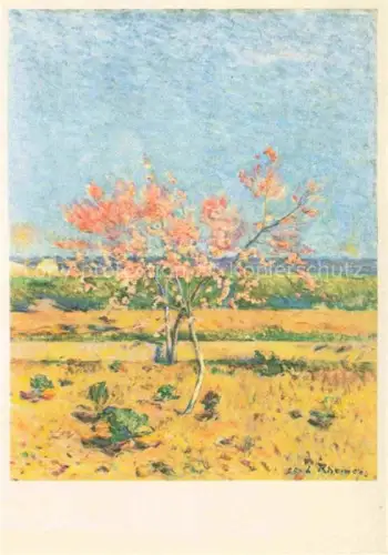 AK / Ansichtskarte RHEINER Louis (1863-1924) Kuenstlerkarte Bluehendes Mandelbaeumchen 