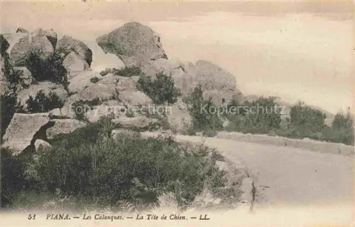 AK / Ansichtskarte Piana Corse Ajaccio 2A Corse-du-Sud Calanches Tête-de-Chien Felsen Granit Straeucher Weg