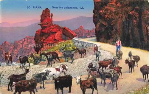 AK / Ansichtskarte Piana Corse Ajaccio 2A Corse-du-Sud Calanches Ziegen Herde Hirte Strasse Granit Felsen
