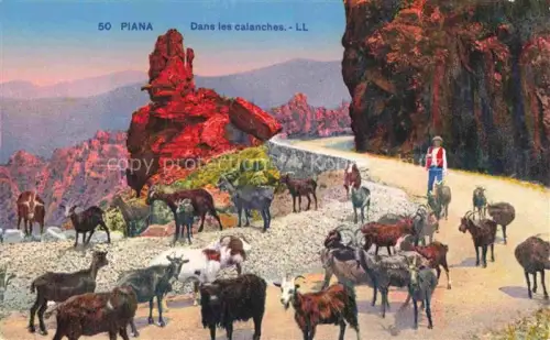 AK / Ansichtskarte Piana Corse Ajaccio 2A Corse-du-Sud Calanches Ziegen Hirte Strasse Rotfelsen Granitfelsen
