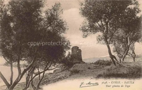 AK / Ansichtskarte Porta BASTIA 2B Haute-Corse Tour-génoise-de-Toga Genueserturm Ruine Baeume Meer