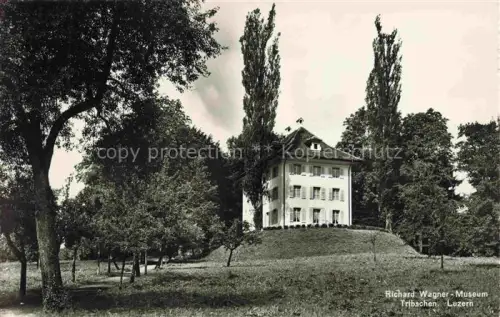 AK / Ansichtskarte Tribschen Luzern LU Richard-Wagner-Museum Tribschen Villa Pappeln Park Wiese