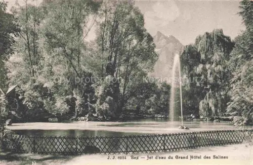 AK / Ansichtskarte Bex-les-Bains AIGLE VD Grand-Hôtel-des-Salines Jet-d eau Brunnen Teich Park Baeume Berge