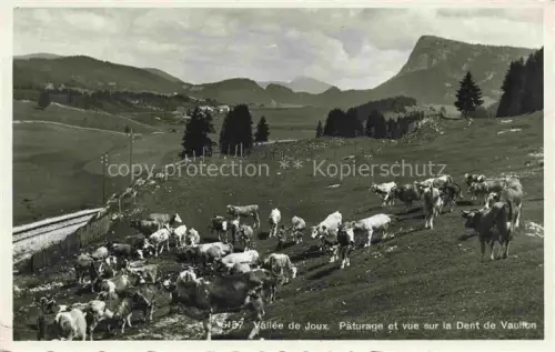 AK / Ansichtskarte Vallee de Joux Vallorbe Orbe VD Vallée-de-Joux Dent-de-Vaullon Pâturage Kuehe Alpen Bergpanorama Eisenbahn Wiesen